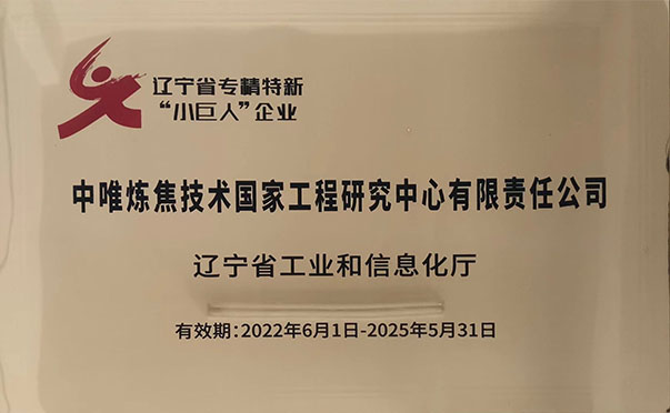 辽宁省专精特新“小巨人”企业